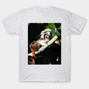 Cotton-top Tamarin T-Shirt